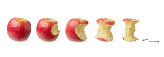 Fototapeta na wymiar Fresh whole and tested apple