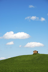 Obraz premium A typical country landscape in spring time