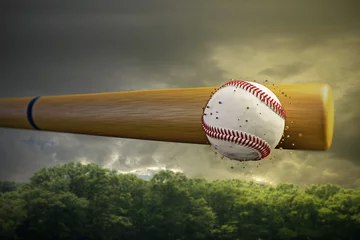Poster de jardin Sports de balle baseball ball
