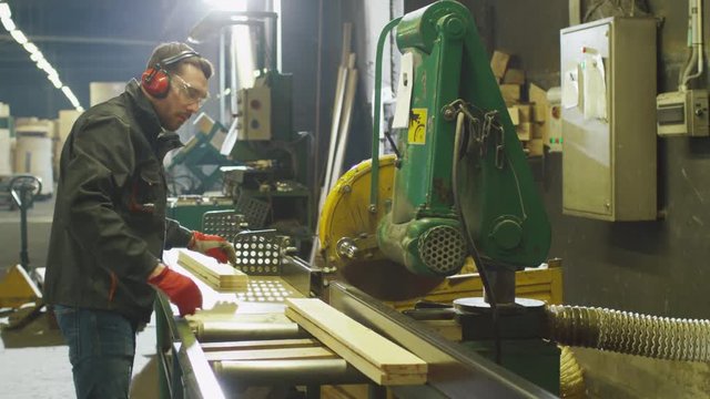 Lumber mill worker is cutting wood with circular saw. Shot on RED Cinema Camera.