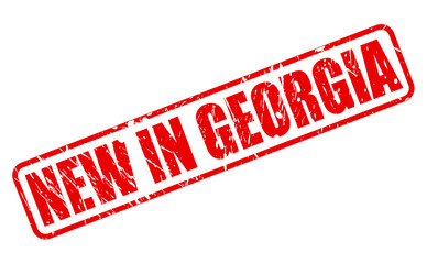 NEW IN GEORGIA red stamp text