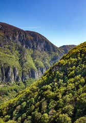 Limestone mountains