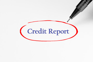 Credit Report on white paper - Business Concept