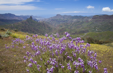 Gran Canaria, Caldera de Tejeda in April