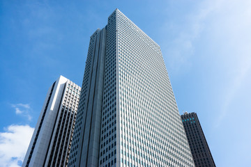 Fototapeta na wymiar Shinjuku Buildings　新宿高層ビル群