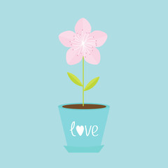Sakura flower pot. Japan blooming cherry blossom. Love text with heart sign symbol Blue background Template Flat design
