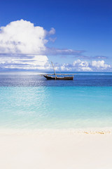Obraz premium Tropical seascape, Zanzibar island