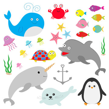Sea ocean animal fauna set. Fish, whale,dolphin, turtle, star, crab, jellyfish, anchor, seaweed, waves Cute cartoon character collection Isolated White background Flat design