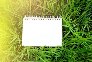 blank paper calendar page on nature field of green grass with sunlight morning background 