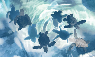 Small turtles in pool illutration