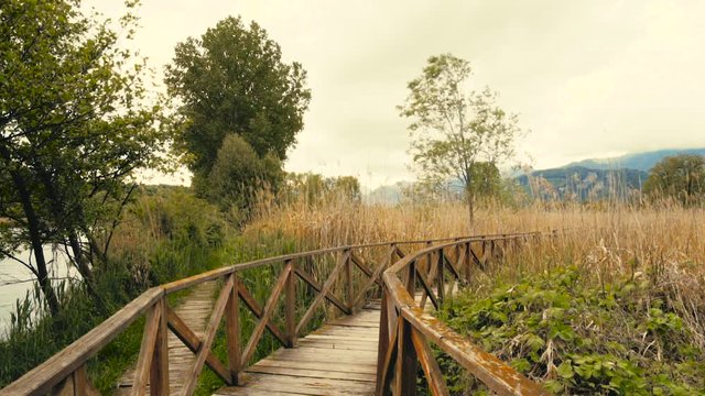 Wooden path and cane thicket with mountains in the background