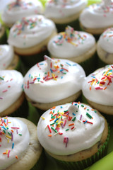 vanilla cupcakes with white cream and colorful decoration