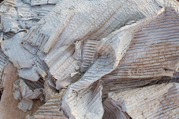 Corrugated Cardboard Texture