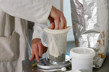 preparation and dosage