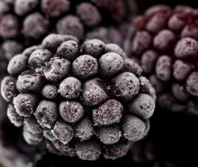 frozen blackberry macro