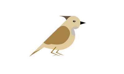 Bird. Vector image. Isolated on a white background