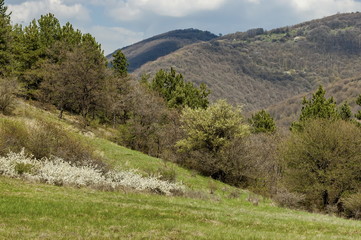 Balkan mountain at spring in Bulgaria