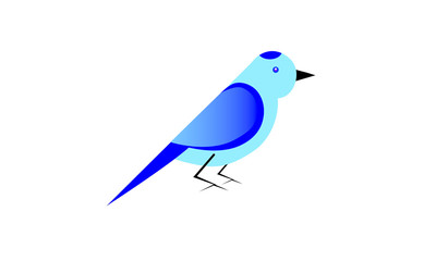 Bird. Vector image. Isolated on a white background