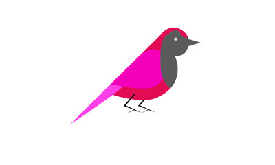 Bird. Vector image. Isolated on a white background