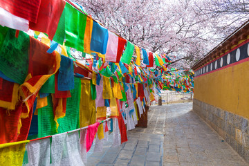 walkway with colorful tibet style flag in china