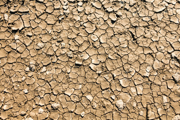 dry, cracked mud