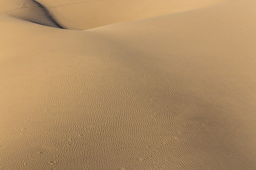 Abstract Detail Of Sand Dunes-Canary Islands,Spain