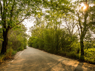 Road on county way to Chon Buri, Thailand