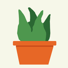 Cactus in a pot