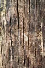 Alte rustikale Holzbretter als Hintergrund