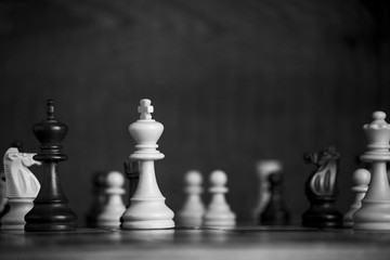 Scacchi fotografati su una scacchiera