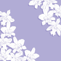 Orchid on purple background, vector illustration