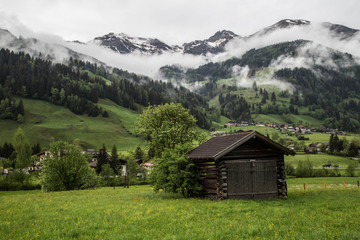 Fototapeta na wymiar sanfte blühend Wiesen mit urigen Hütten und Heustadel vor idyllischer Bergkulisse in den Alpen