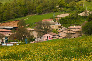 Fototapeta premium Rural village on the wild flowers