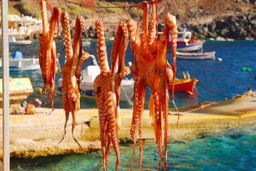 Octopus drying on the sun, Santorini, Greece - 109514789