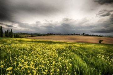 Obraz premium Country landscape