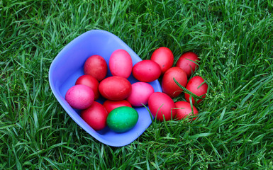 Fototapeta na wymiar easter eggs