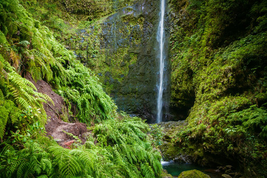 Fototapeta beautiful waterfall