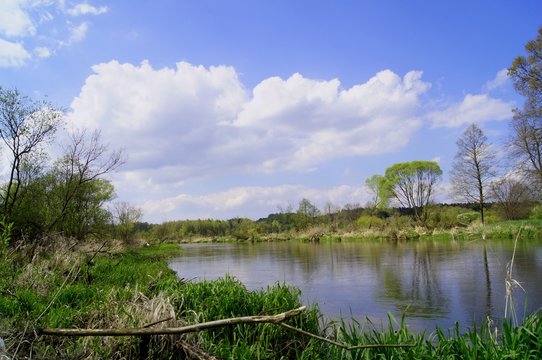 Riedel Bilder Durchsuchen 182 Archivfotos, und Videos