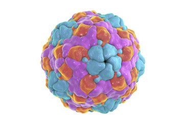 Human Parechovirus on white background, 3D illustration. Parechoviruses cause respiratory, gastrointestinal infections, are associated with brain damage and developmental disorders in neonates