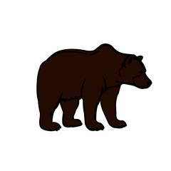 Fototapeta na wymiar on a white background isolated one brown big bear