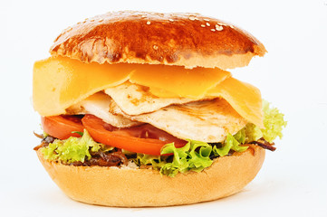 Hamburger sandwich with chicken and cheese