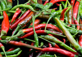 Red & Green Chillies - 109519548