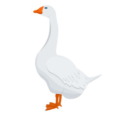 Goose vector illustration isolated on a white background