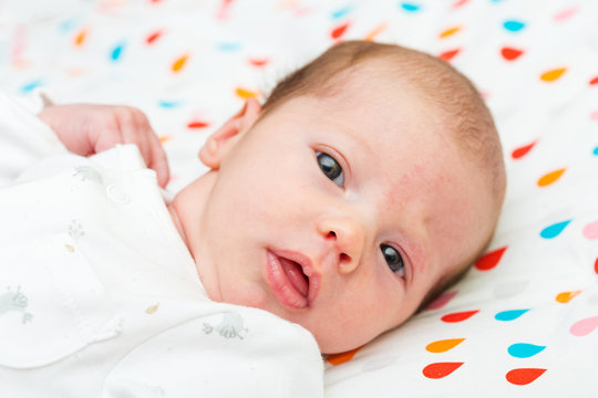 Portrait Of A Newborn Baby Looking At The Camera With Her Eyes Wide Open 