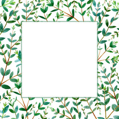 Frame with eucalyptus branches.Green floral border.Watercolor hand drawn illustration.