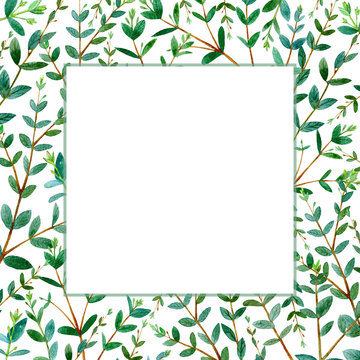 Frame with eucalyptus branches.Green floral border.Watercolor hand drawn illustration.