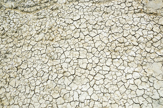 Background image of dried salty land