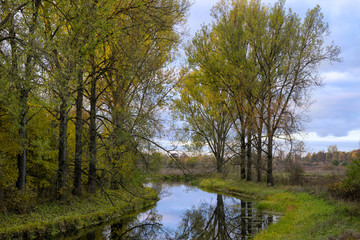 Fototapeta na wymiar Elk River with green trees. Masuria, Poland.