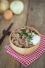 donburi, pork rice bowl