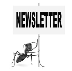 newsletter